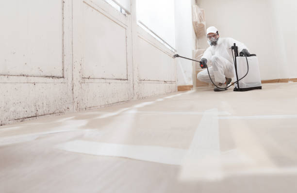 24/7 Emergency Mold Remediation experts in Verona, NJ