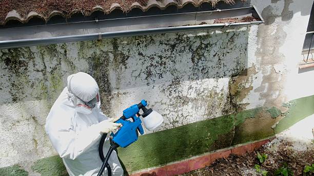 Top rated local Mold Remediation specialists in Verona, NJ
